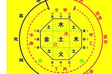 五行喜水|八字喜水人的特征 (八字喜水的命局如何改运)